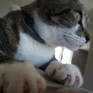 Did you hear that?