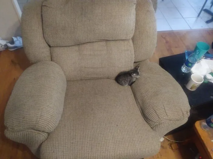 Im Just A Little Guy