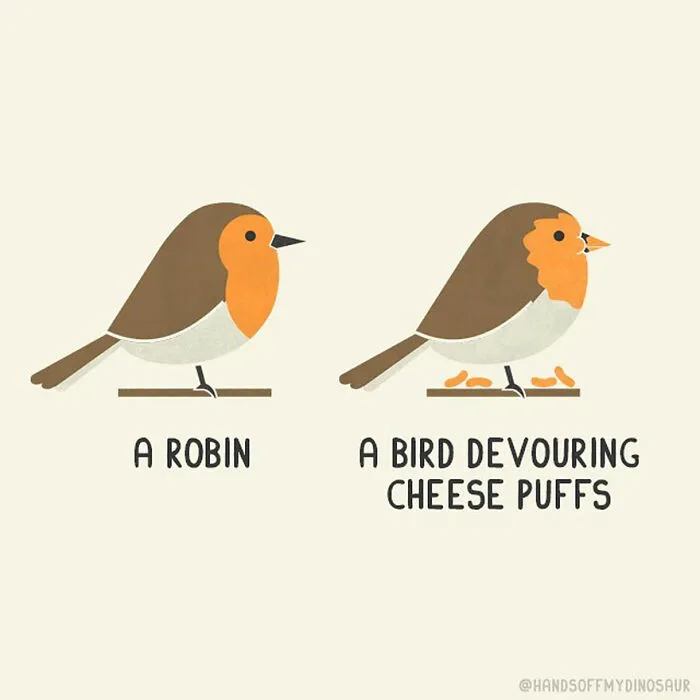 Robin Or Cheese Puff Bird