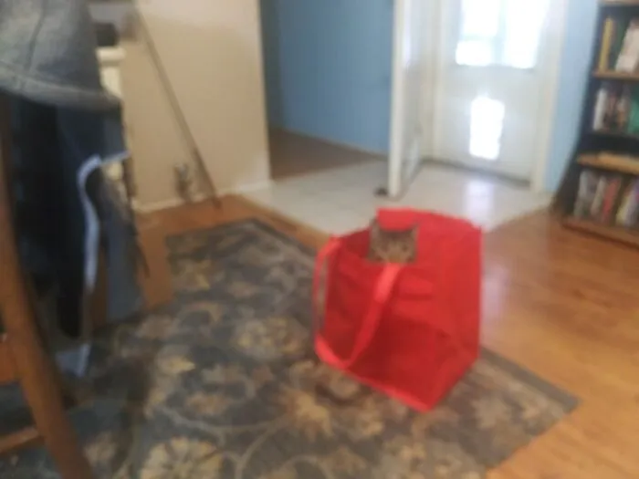 Cant Find Me