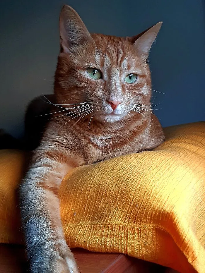 My Sweet Boy