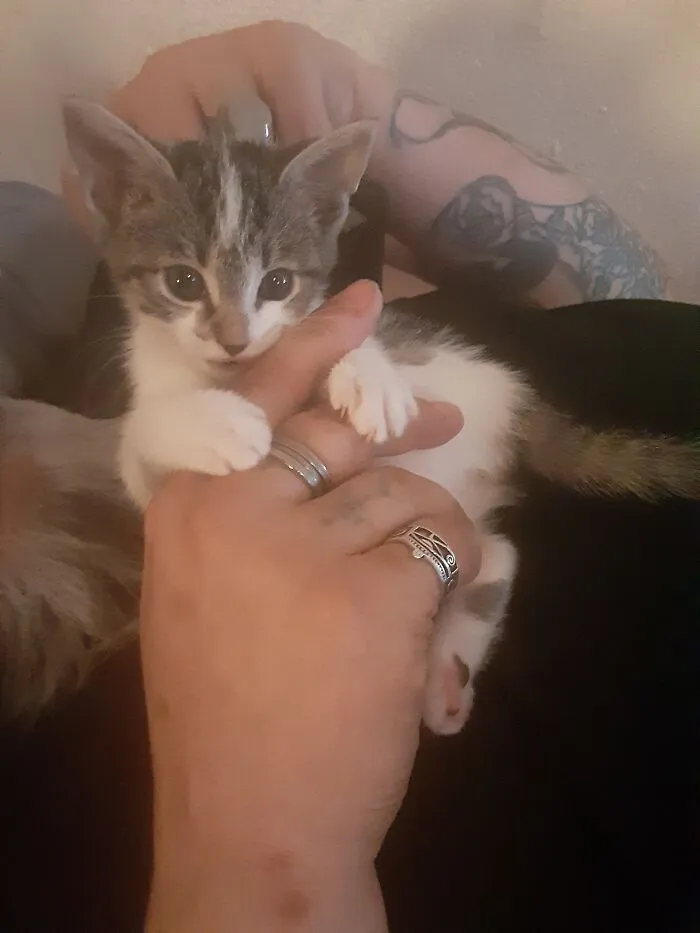 My Little Spaz!