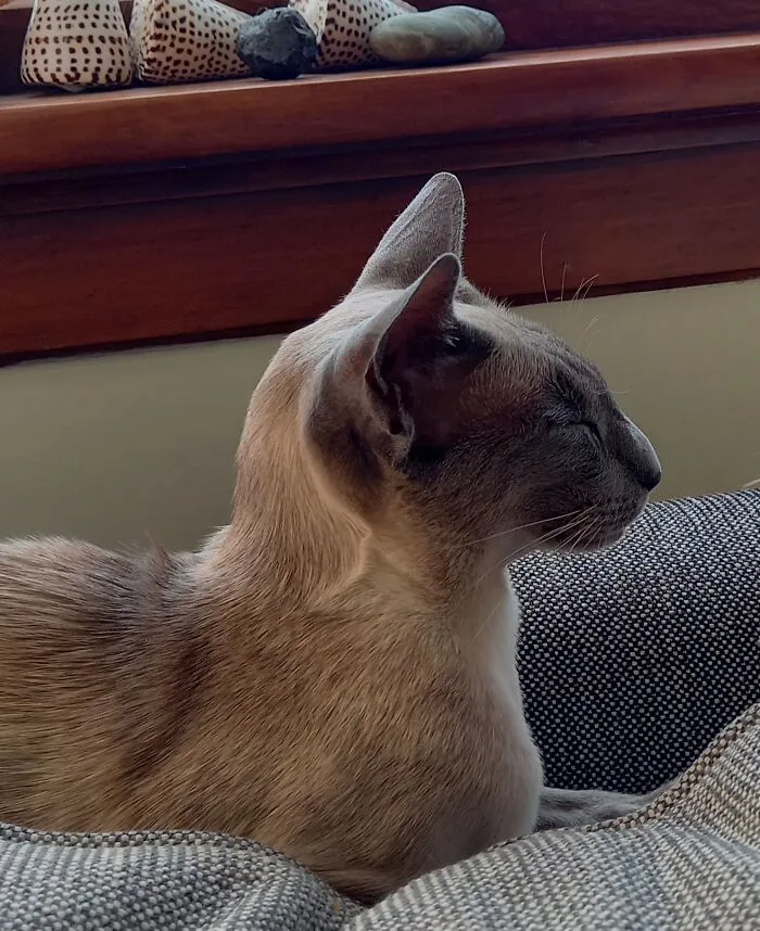 Rita
