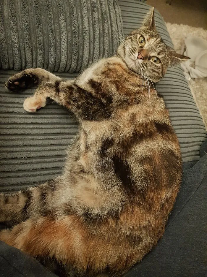 Pretty Precious