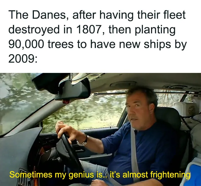 Man driving a car with caption about Danes planting trees after 1807, a funny and accurate history meme shared online.