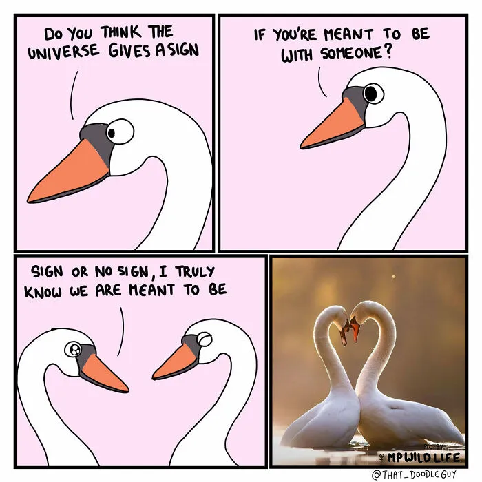 My 30 Wholesome Animal Comics About Love Might Just Be The Thing You Need For This Valentine’s Day