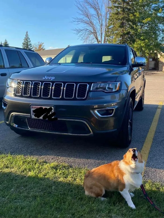 ¡¡Cómo te atreves a comprar un coche nuevo con asientos de cuero, mamá y papá!! ¡Ahora me resbalaré y me deslizaré por todas partes!
