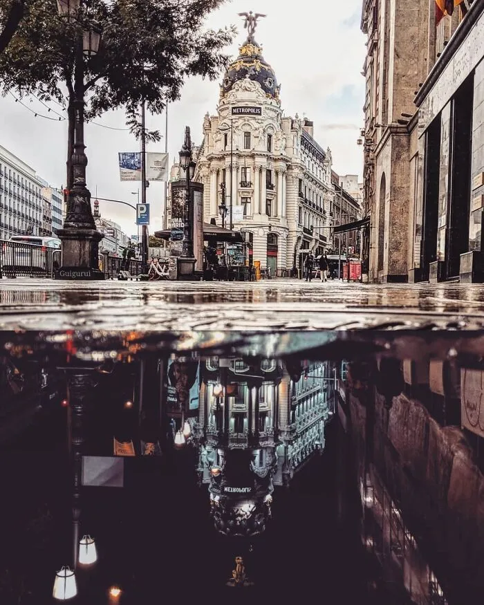I Discover Hidden Parallel Worlds In Puddles And Other Reflections On My Smartphone (30 Pics)