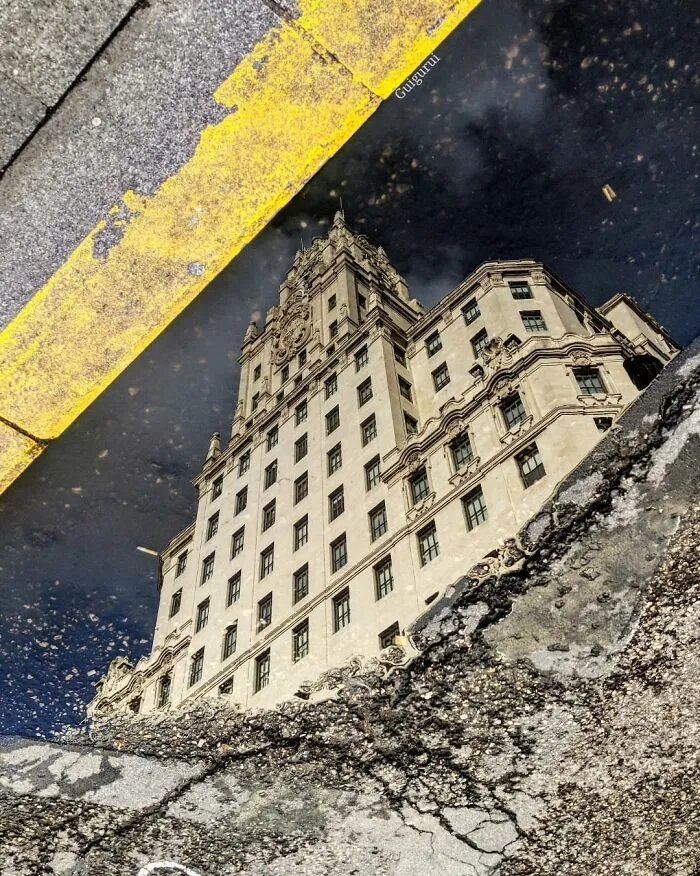 I Discover Hidden Parallel Worlds In Puddles And Other Reflections On My Smartphone (30 Pics)