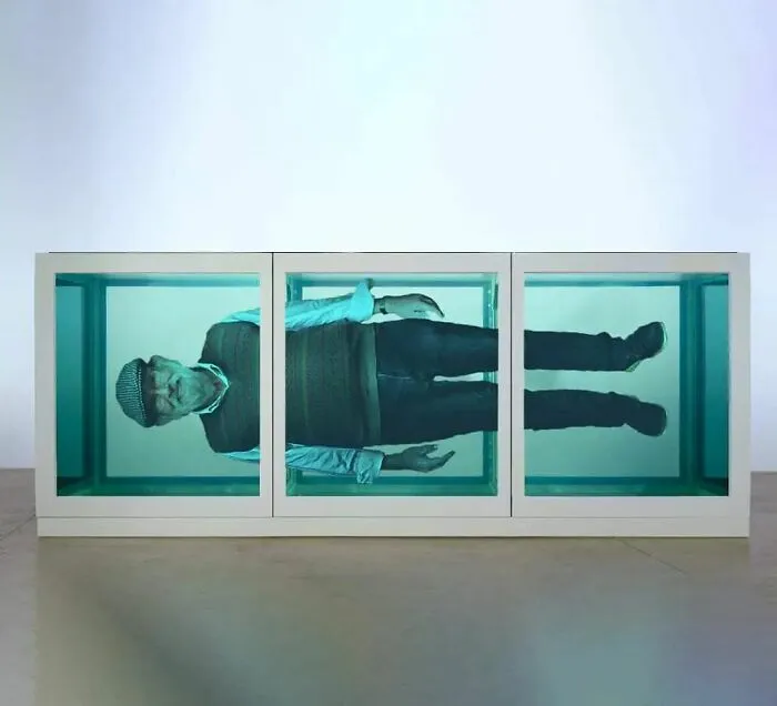 Damien Hirst, Glass, Steel And Formaldehyde, 1991