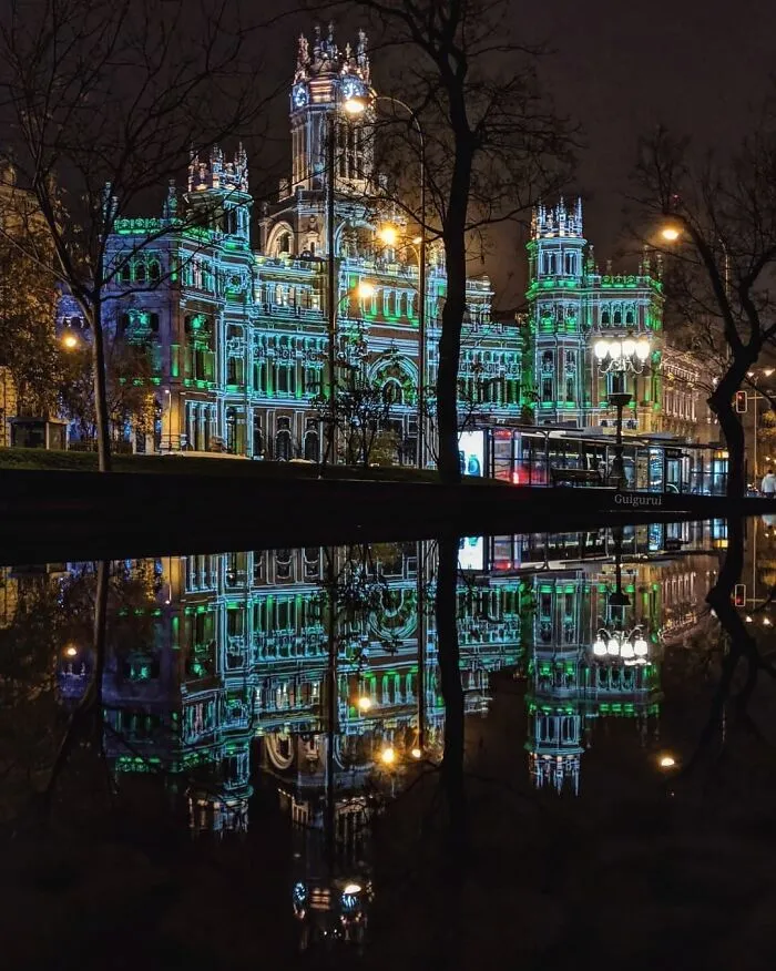 I Discover Hidden Parallel Worlds In Puddles And Other Reflections On My Smartphone (30 Pics)