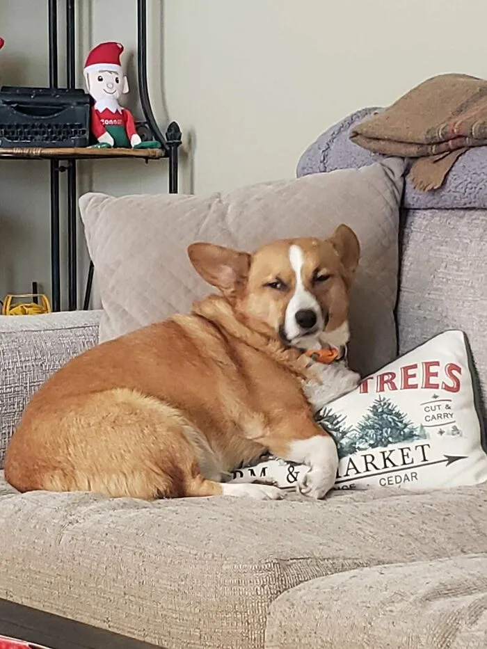 Bentley Disapproves Of Photos In General