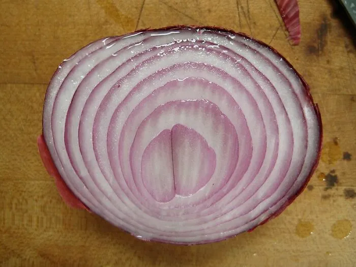 Una cebolla y media