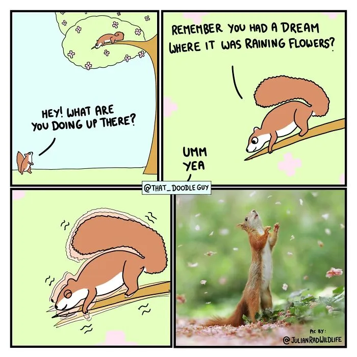 My 30 Wholesome Animal Comics About Love Might Just Be The Thing You Need For This Valentine’s Day