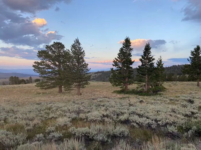 Eastern Sierras, California Nearing Sunset