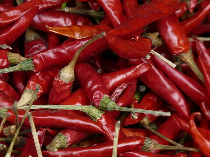 30 "American" Kitchen Essentials People Wish They Could Find Overseas