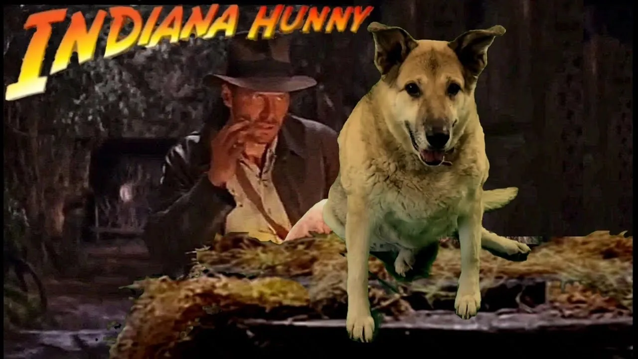 Indiana Jones With My Dog