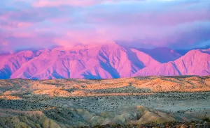 The Beauty Of Anza Borrego Desert State Park In Southern California (16 Pics)