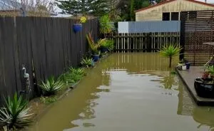 How A Friend Losing Everything In A Flood Caused Me To Create A Way To Fight Climate Change