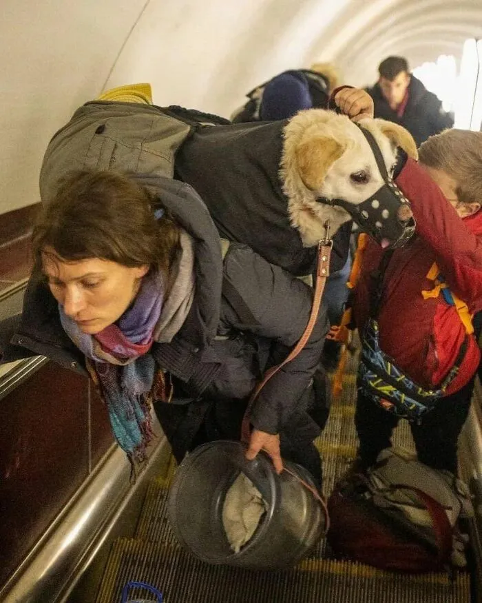 35 Fotos de ucranianos con sus mascotas durante la guerra mostrando lo fuerte que puede ser el amor entre humanos y sus mascotas