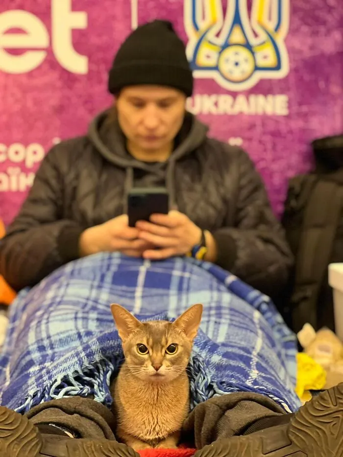 35 Fotos de ucranianos con sus mascotas durante la guerra mostrando lo fuerte que puede ser el amor entre humanos y sus mascotas