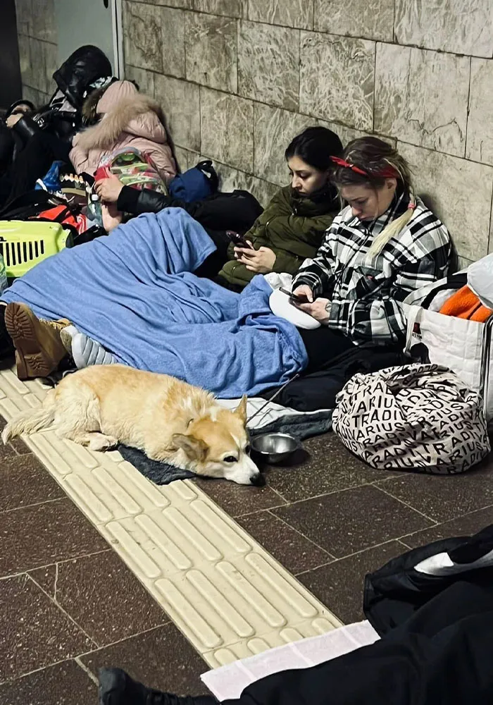 40 Photos Of Ukrainian Folks With Their Pets Amidst The War, Proving Just How Strong Human-Pet Love Can Really Be