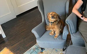 50 Uplifting Animal Pictures To Help You Get Through The Week
