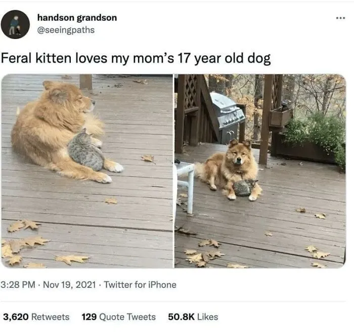 Wholesome