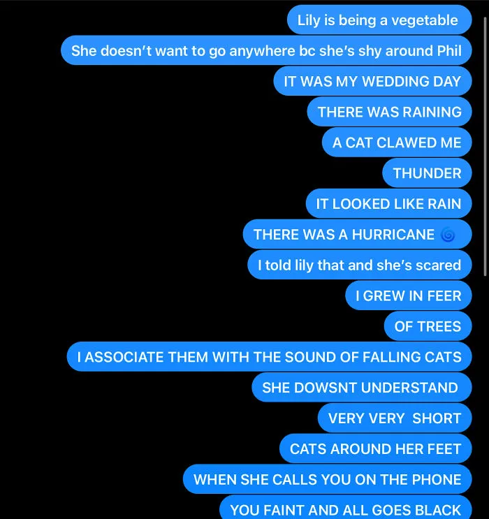 These Are Screenshots From My Friends Phone. She Meant To Text Her Sister, But Then She Realized She Had The Wrong Number. So She Sent A Stranger A Very Weird Version Of We Don’t Talk About Bruno From Encanto. Hilarious But I Have Never Understood Her.
