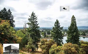 Abandoned Shake Shack On Mt. Tabor