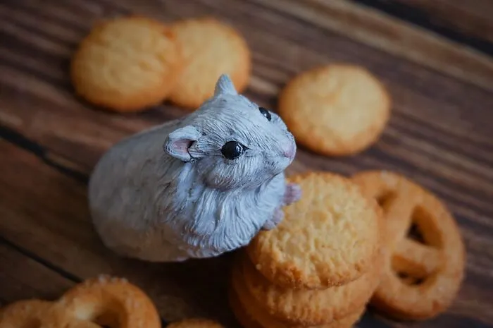 70 Tiny Animal Sculptures That I Created From Clay