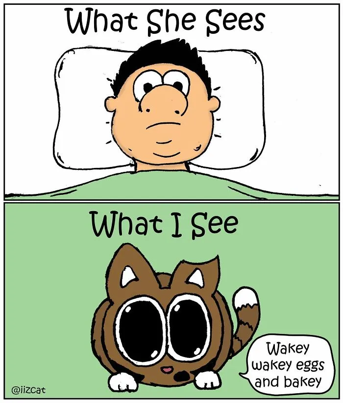 Artist Makes Funny Comics About What It's Like Living With A Cat, And Cat Owners Can Relate (30 New Pics)