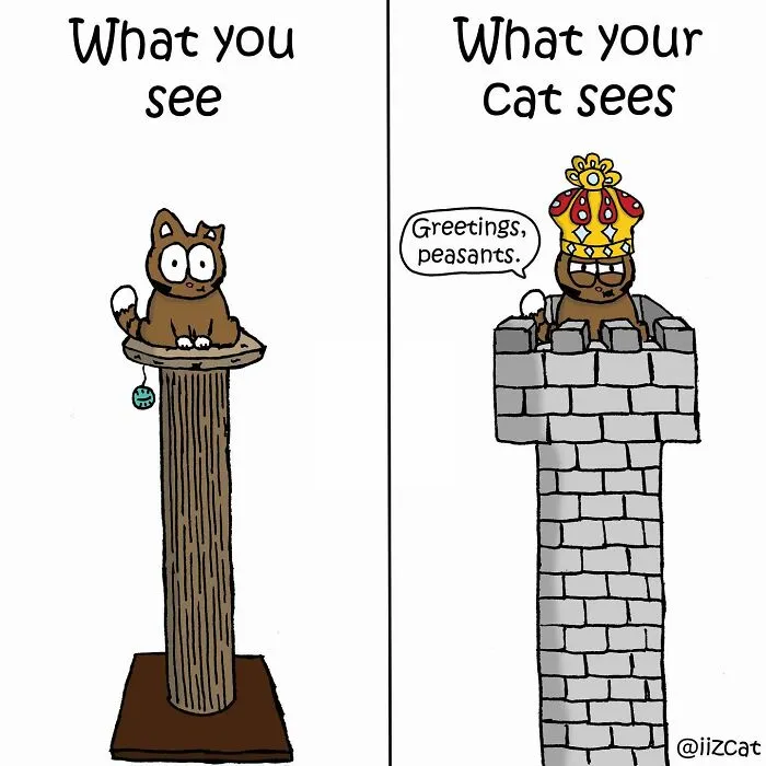 Artist Makes Funny Comics About What It's Like Living With A Cat, And Cat Owners Can Relate (30 New Pics)