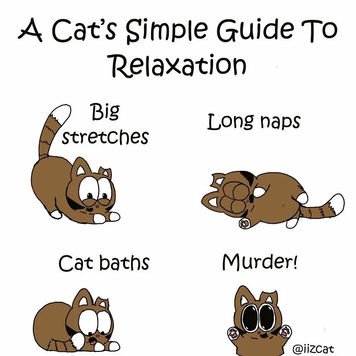 Artist Makes Funny Comics About What It's Like Living With A Cat, And Cat Owners Can Relate (30 New Pics)