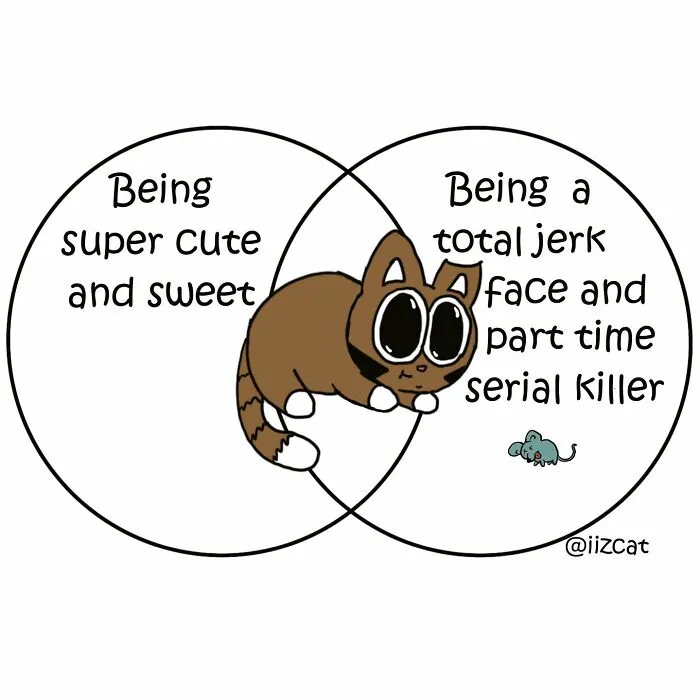 Artist Makes Funny Comics About What It's Like Living With A Cat, And Cat Owners Can Relate (30 New Pics)