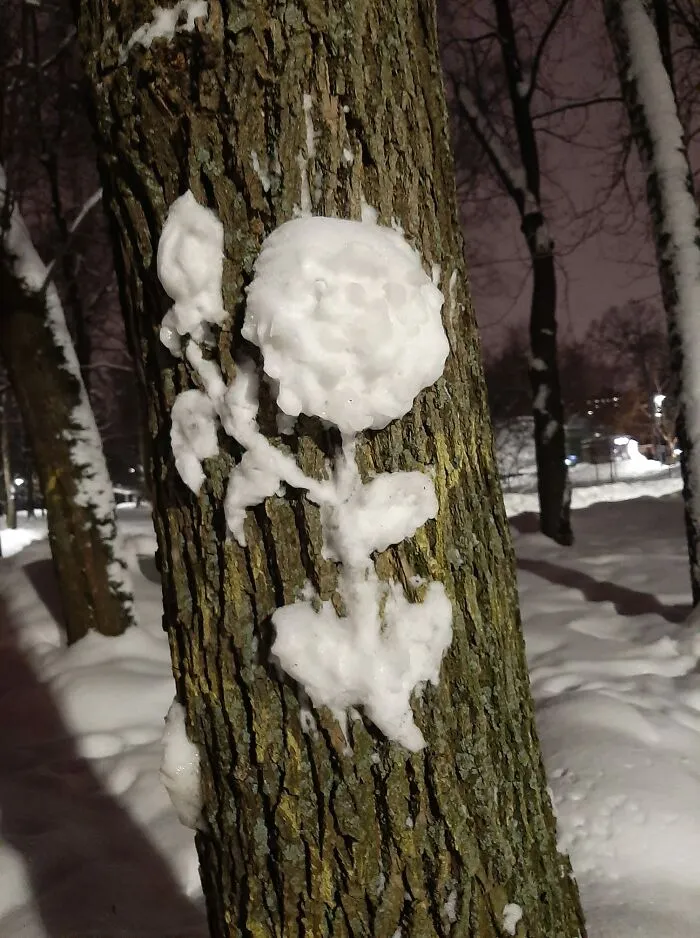 20 Snow Sculptures On Tree Trunks Made By A Russian Chemist Who Just Wanted To Decorate Her Neighborhood
