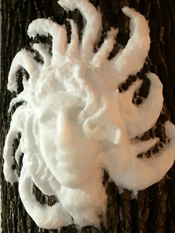 20 Snow Sculptures On Tree Trunks Made By A Russian Chemist Who Just Wanted To Decorate Her Neighborhood