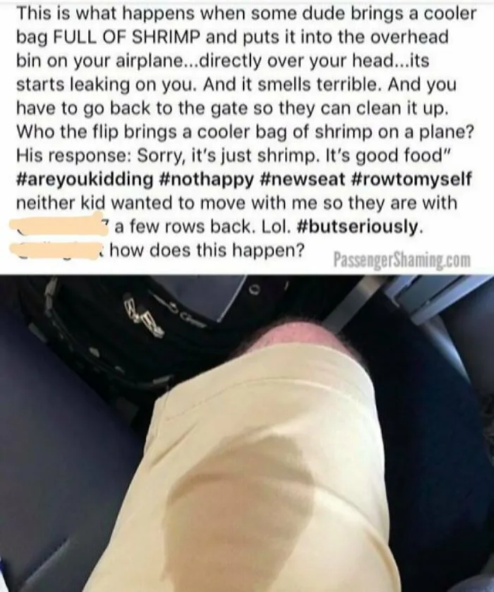 This Instagram Gathers Bizarre Images That Prove Passengers From Hell Exist (35 New Pics)