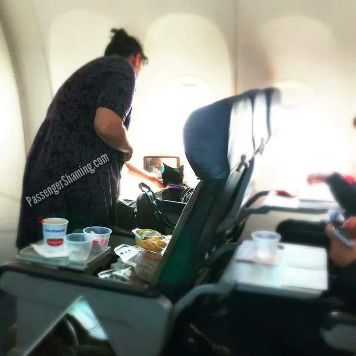This Instagram Gathers Bizarre Images That Prove Passengers From Hell Exist (35 New Pics)