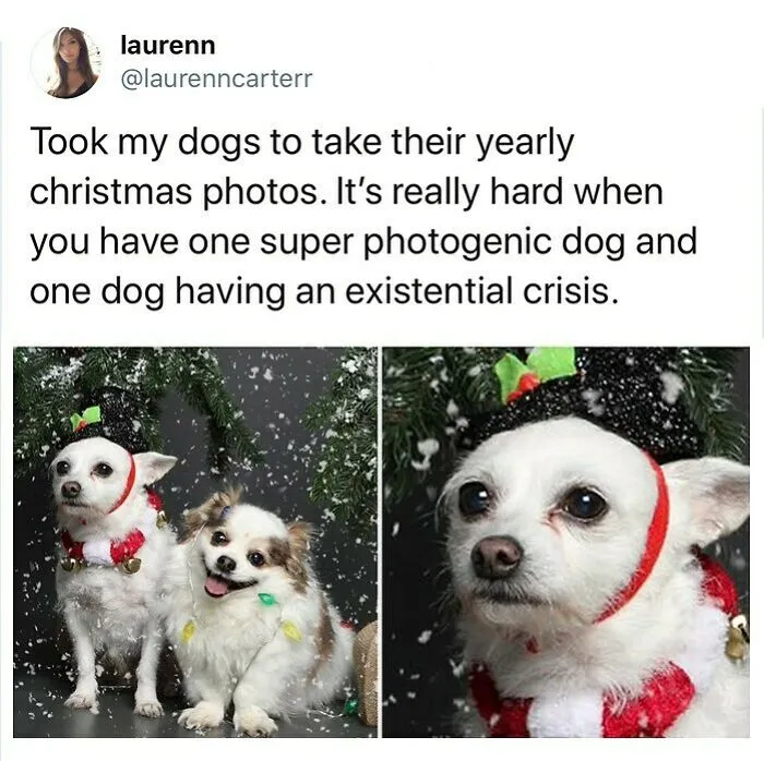 ‘The True Memeing Of Life’: 50 Tastefully Offensive Tweets Shared On This Instagram Page