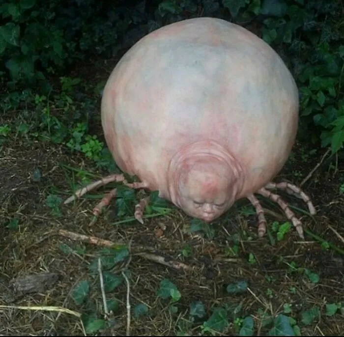 35 De las mejores y más inquietantes imágenes de la cuenta de Instagram "Cursed Image Dealer"