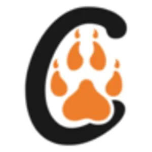 Big Cats India