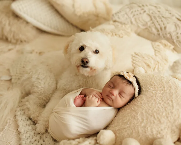 I Love It When Families Bring Their Pups To Their Photo Sessions And Here Are 18 Photographs I Took