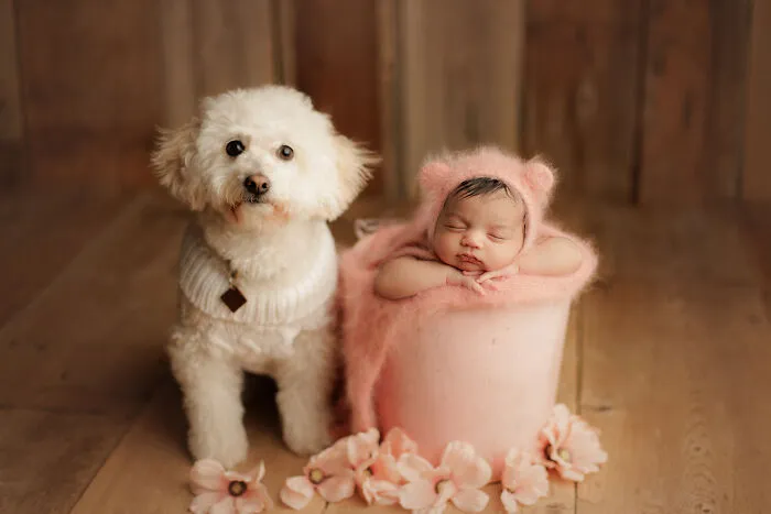 I Love It When Families Bring Their Pups To Their Photo Sessions And Here Are 18 Photographs I Took