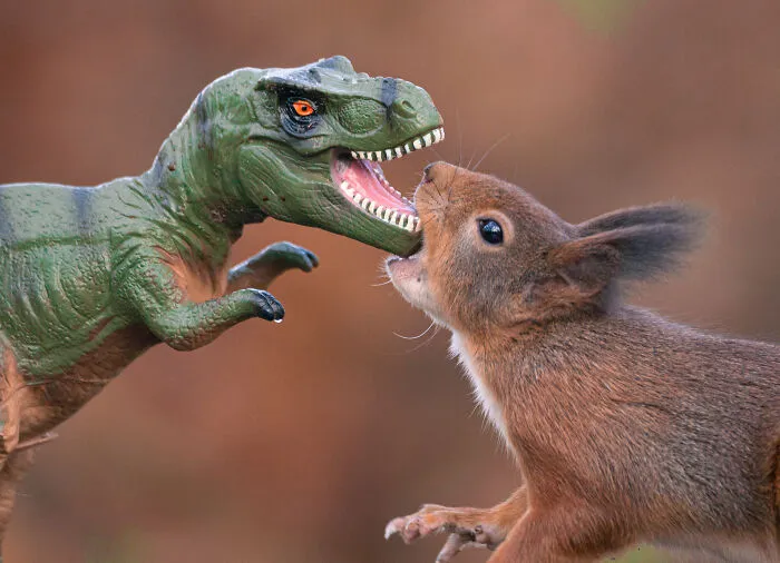 19 Pictures Of Squirrels Interacting With Dinosaurs Taken By Me