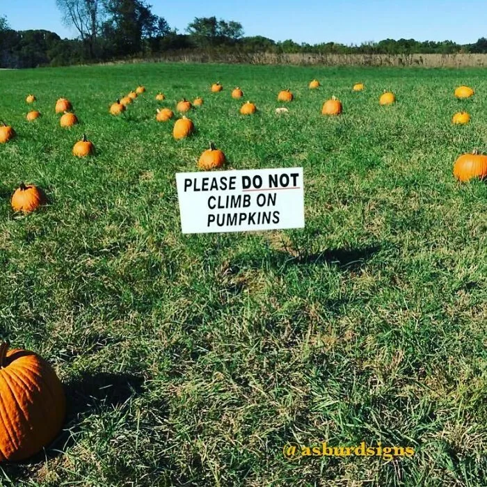 40 Of The Best Pics From This Instagram Account That Is Dedicated To The Most Random, Absurd Or Ridiculous Signs