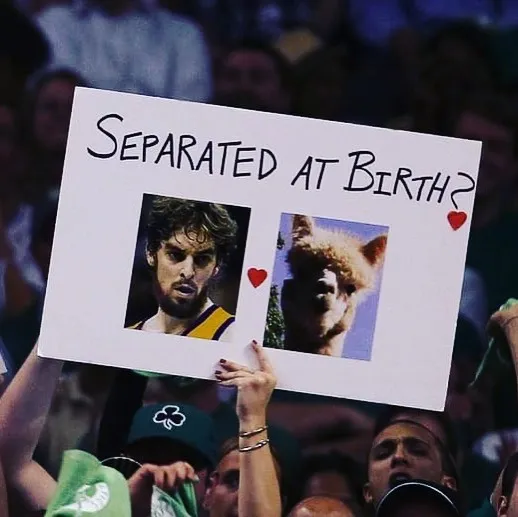 40 Of The Best Pics From This Instagram Account That Is Dedicated To The Most Random, Absurd Or Ridiculous Signs