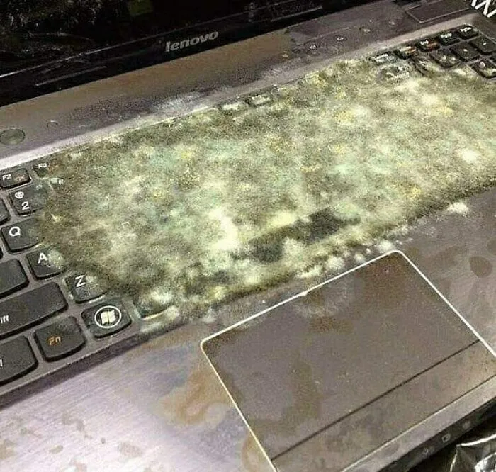 The "Cursed Image Dealer" Instagram Account Collects The Most Uneasy Images Found Online, And Here’s 40 Of Their Best