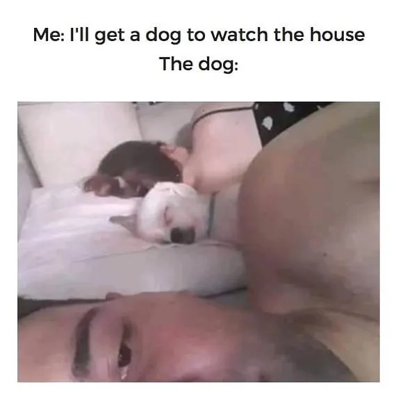 50 Funny Memes That Are All Too Relatable, Shared By This Instagram Page