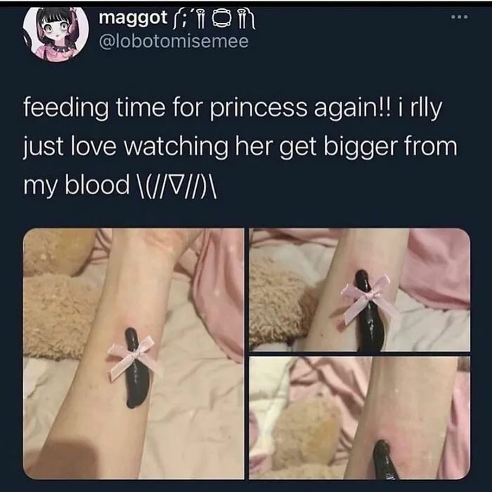 The "Cursed Image Dealer" Instagram Account Collects The Most Uneasy Images Found Online, And Here’s 40 Of Their Best